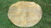 Cow Skin 50 inch Taiko Drum Head Skin