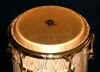 CONGA-HEAD-3.JPG (121276 bytes)