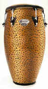 Conga_Accent_Matador.jpg (20081 bytes)