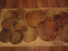 Horse skin drum heads