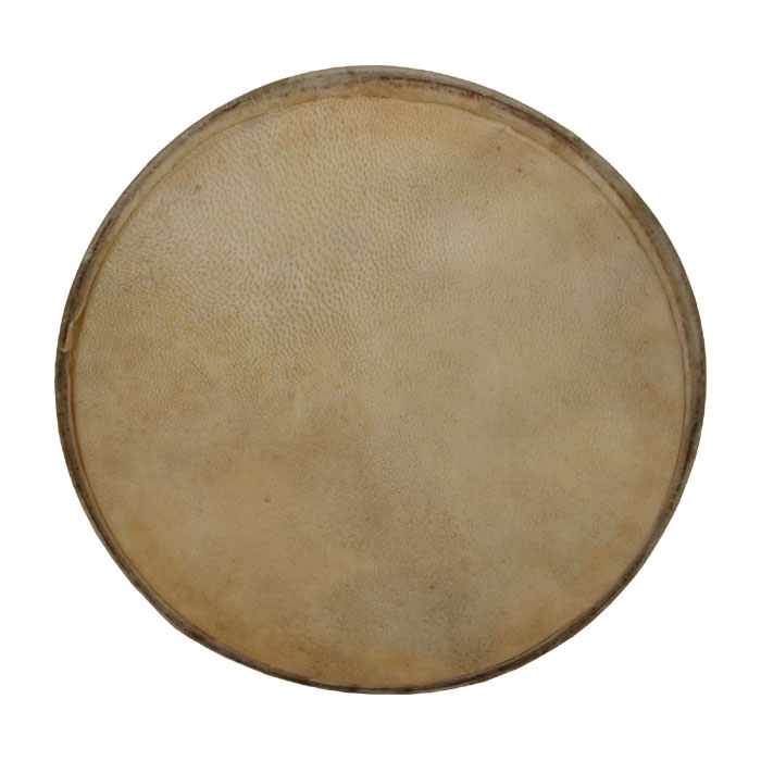 10" Remo Skyndeep Doumbek Head